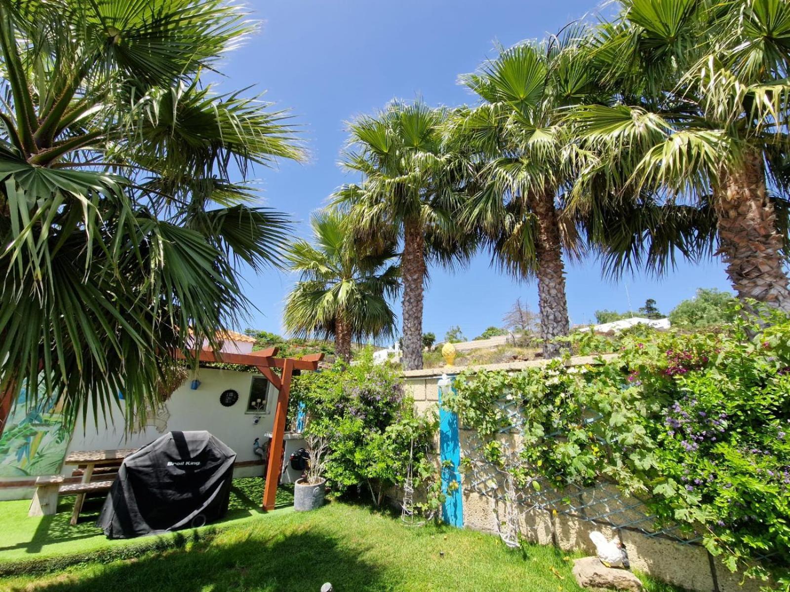 Escape To Finca Conejo, Typical Canarian House Private Jacuzzi, Sauna, Gym, Finca Conejo Taucho By Aqua Vista Tenerife Costa Adeje (Tenerife) Exterior foto